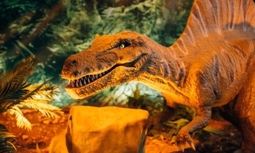 Zatorland: Okazje i Promocje czyli jak kupić bilet taniej